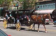 Horse drawn Carriage